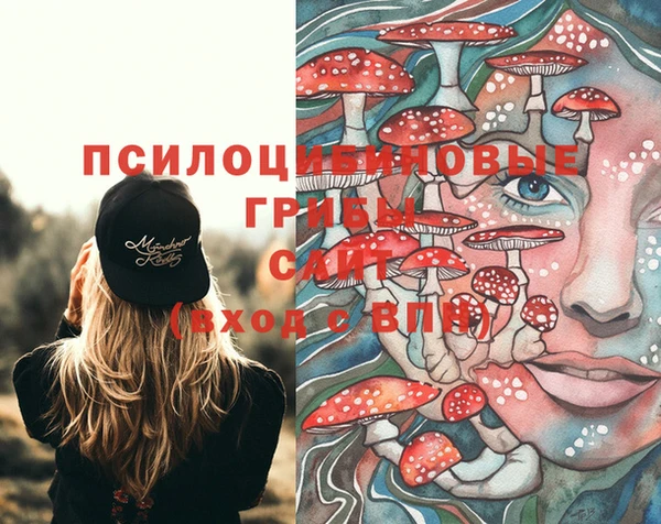 герыч Алзамай